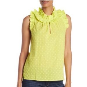 JCrew Ruffle Collar Top